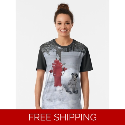 Le Studio Graphic T-Shirt Rush Signals Monument Winter 2019